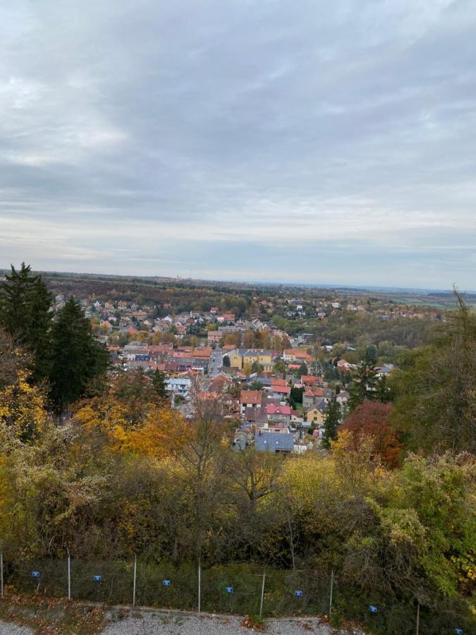 Apartmany Kladno - Libusin Bagian luar foto